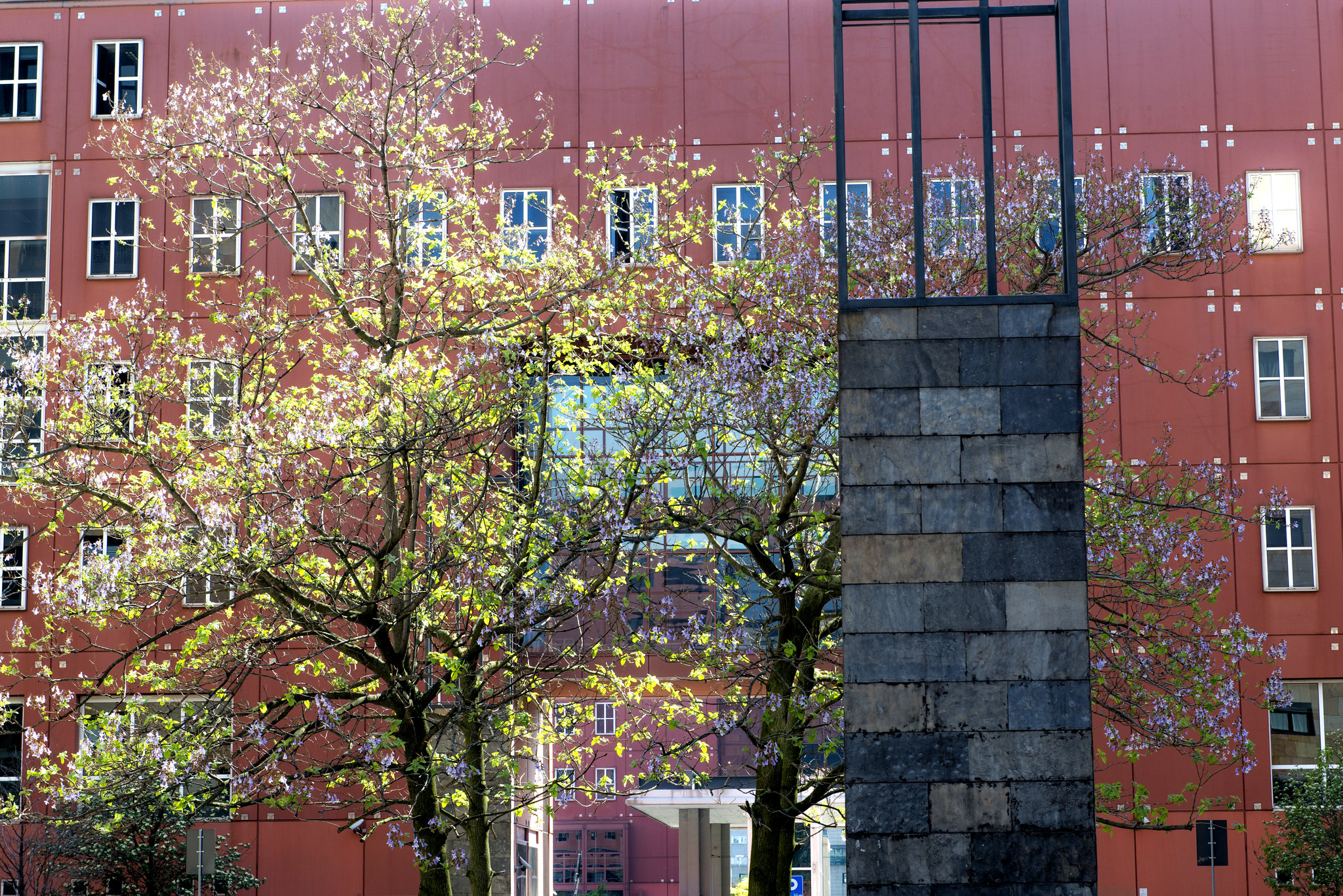 A Bicocca building with a tree